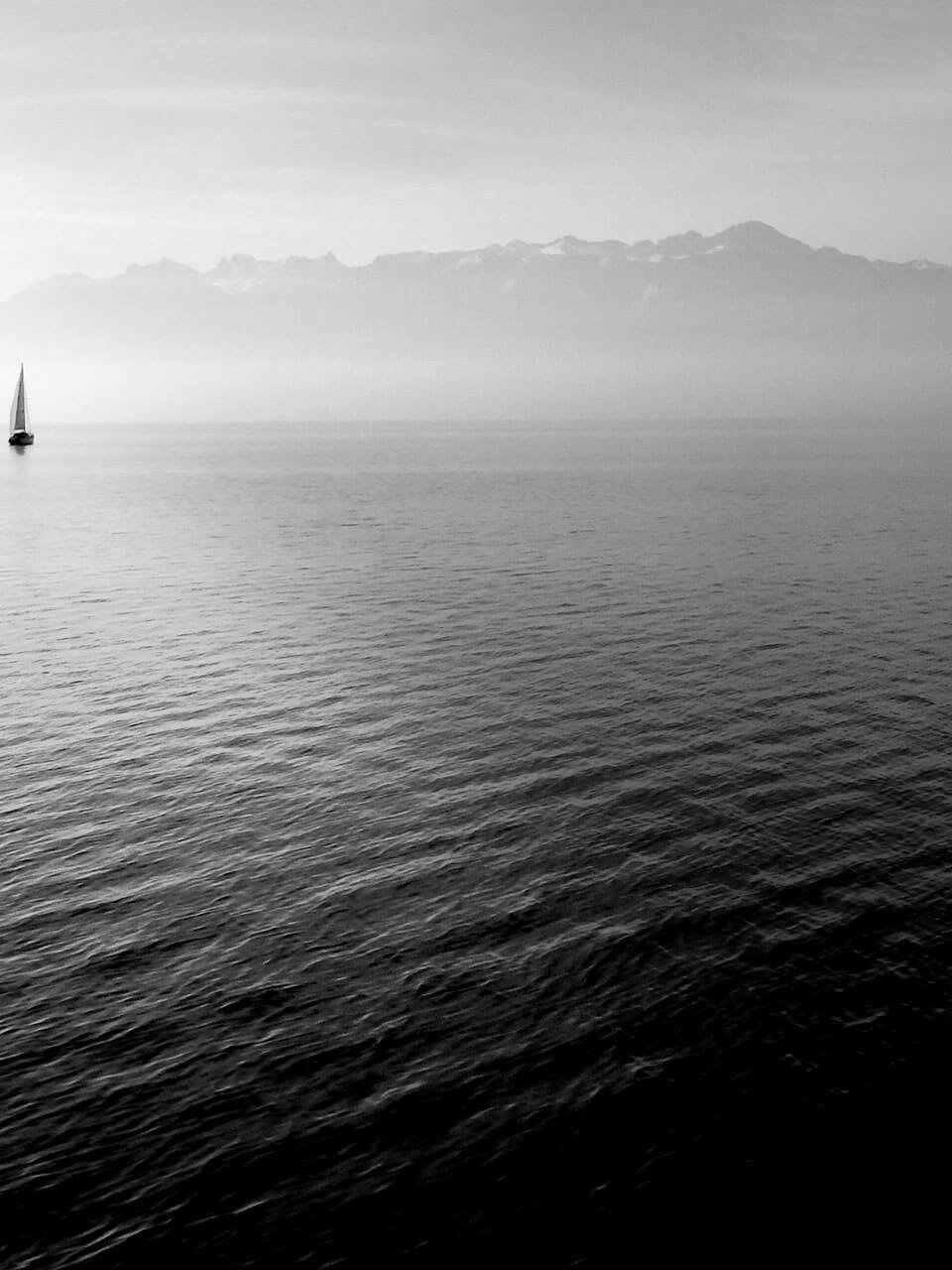 sailboat on water, black and white